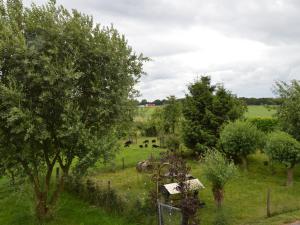 un campo con árboles y vacas pastando a lo lejos en Modern Holiday Home in Holten with Forest Near, en Holten