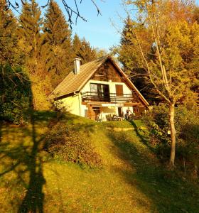 uma casa no topo de uma colina na floresta em Alpinejka House em Trzic