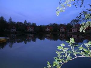 un grupo de casas a orillas de un lago en Restful Apartment with Garden, Private Terrace,Swimming Pool, en Westerbork