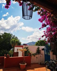 - une vue depuis une terrasse avec des fleurs dans un panier dans l'établissement Villino Miraglia, à Lingua