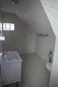 a bathroom with a sink and a toilet at Auberge Saint Jacques in Saint-Alban-sur-Limagnole