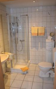 ein Bad mit einer Dusche, einem WC und einem Waschbecken in der Unterkunft Haus Luzia in Sankt Aldegund