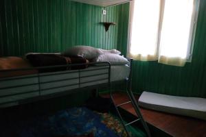 Grünes Zimmer mit einem Etagenbett und einem Fenster in der Unterkunft Appartement T3 en RDC 54 m2 avec balcon in Saint-Pierre-dels-Forcats