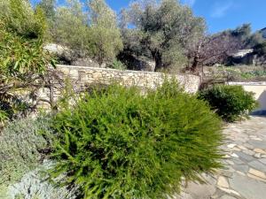 Photo de la galerie de l'établissement Villa Diana, à Áyios Yeóryios 66 autres photos