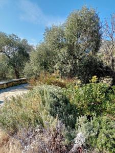 Photo de la galerie de l'établissement Villa Diana, à Áyios Yeóryios