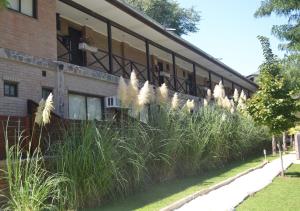 Windmuhle Apart Hotel & Spa外面的花园