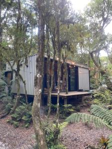 een klein huisje in het bos met bomen bij Chalé dos Alpes in São Francisco de Paula