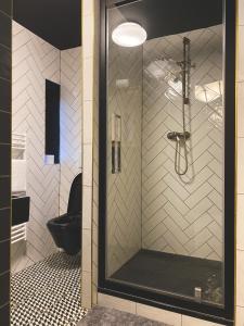 a shower stall in a bathroom with a toilet at Penzion U Fridy Apartman 1 in Loket +17 photos