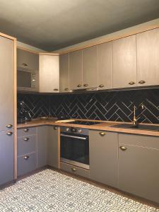 Kuchyň nebo kuchyňský kout v ubytování Penzion U Fridy Apartman 1