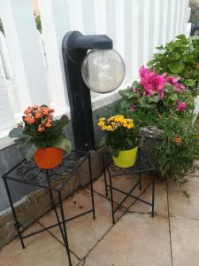 Giardino di B&B Lety