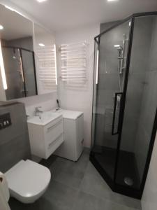 Kúpeľňa v ubytovaní Apartament Gliwice Centaura