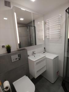 Kúpeľňa v ubytovaní Apartament Gliwice Centaura, klimatyzacja