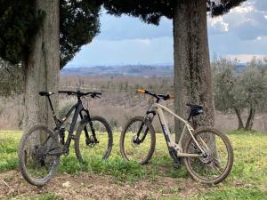 Gallery image of Agriturismo Amina, Winery & Hiking in Vagliagli