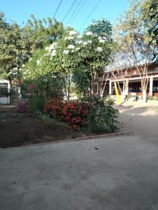 a garden with flowers in front of a building at Casa Paraguaná - tú espacio para el descanso in Santa Marta