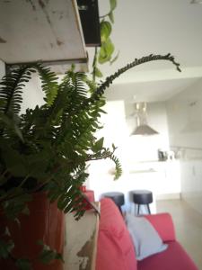 Zdjęcie z galerii obiektu Entres dos paraísos: Zahara de los Atunes y Tarifa w mieście La Zarzuela