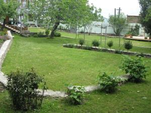 Zahrada ubytování Villa Kursa