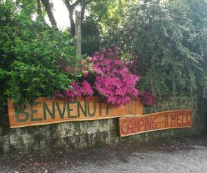 a sign with pink flowers on a brick wall at CAMPING IL MELO in Peveragno
