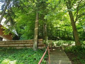 Un jardín fuera de Sumska bajka