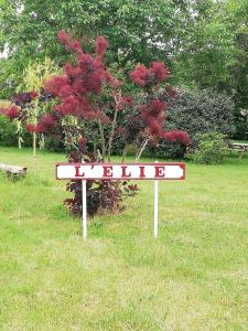 una señal frente a un arbusto con flores rojas en L'élie sous les noyers, Le gite, en Clérieux