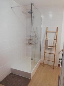 una ducha con puerta de cristal en un baño en L'élie sous les noyers, Le gite, en Clérieux