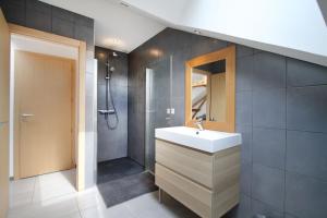 a bathroom with a sink and a shower at Le Grenier Gérômois in Gérardmer