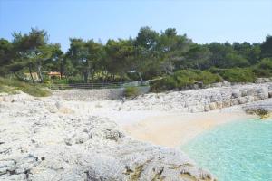 - une plage avec des rochers, de l'eau et des arbres dans l'établissement Apartment Franka, à Mali Lošinj