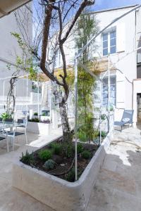 a tree in a planter in front of a building at La Maison de Famille 3 chambres 8 pers Terrasse Parking Clim in Marseille +21 photos