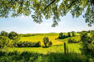 a field of green grass with trees and a fence at Alpine Hotel by SnowWorld in Landgraaf