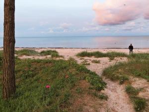 Snogebækにある8 person holiday home in Nexの海辺の砂浜に立つ男