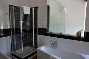 a bathroom with a shower and a tub and a sink at Hotel Schlossresidenz Heitzenhofen in Duggendorf