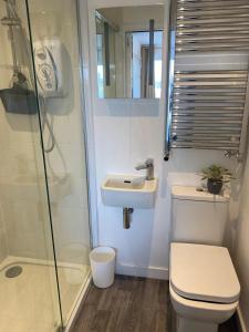 La salle de bains est pourvue de toilettes, d'un lavabo et d'une douche. dans l'établissement Studio 95, à Kirkby Lonsdale