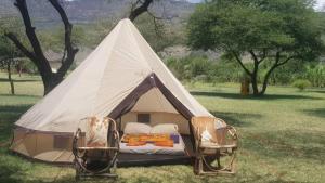 a white tent with two chairs in a field at Lake Natron Maasai giraffe eco Lodge and camping in Mtowabaga