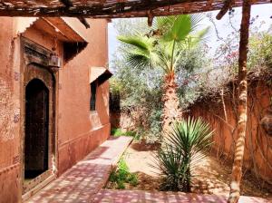 - une vue sur l'extérieur d'un bâtiment avec un palmier dans l'établissement Dar Boumida, à Lalla Takerkoust