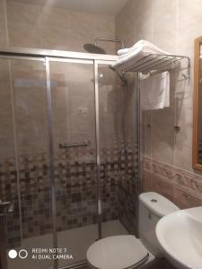 a bathroom with a shower with a toilet and a sink at Hotel Herranz in Alcoroches