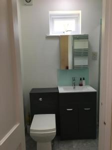 a bathroom with a toilet and a sink and a window at Charming 1-Bedroom Apartment near South Downs in Hailsham