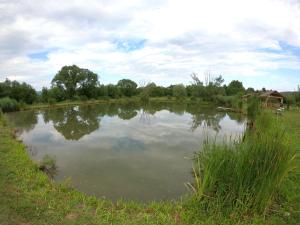 Gallery image of Honey Tiny Home in Vadul lui Carol II +2 photos