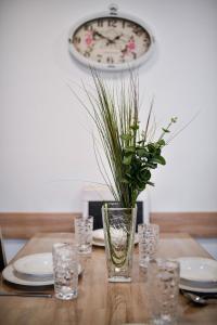 Fotografie z fotogalerie ubytování Apartments Diora v destinaci Seline