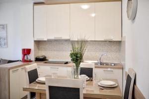 Kuchyň nebo kuchyňský kout v ubytování Apartments Diora