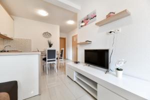 Kuchyň nebo kuchyňský kout v ubytování Apartments Diora