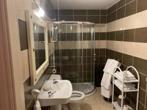 a bathroom with a shower and a toilet and a sink at Tides Apartments Liscannor in Liscannor