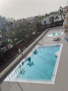 Fotografie z fotogalerie ubytování Superb seaview apartment in Playa de Las Americas v destinaci Playa de las Americas