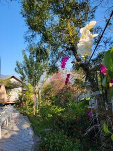Aed väljaspool majutusasutust YingChia SPA Homestay