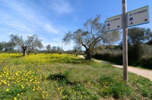 Fotografia z galérie ubytovania Els Olivars v destinácii Bellcaire dʼEmpordà