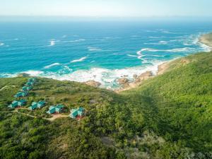 an aerial view of the ocean and a beach at Blue Whale Resort in George