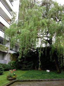 Photo de la galerie de l'établissement Residence Luxurious Genève, à Genève