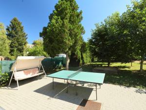 Stolný tenis v ubytovaní Apartment Moni 1 by Interhome alebo v jeho okolí