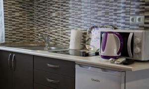 Kuchyň nebo kuchyňský kout v ubytování Apartment Josipa