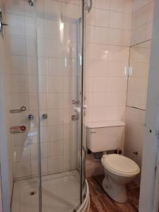 Un baño con inodoro y ducha de cristal. en Pinamar Centro Departamentos NO GRUPOS DE JOVENES, en Pinamar