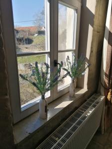 dois vasos com flores sentados no parapeito da janela em Cépage de la Tourelle em Ways