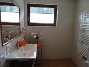 a bathroom with a sink and a mirror at Wiesenhof in Fügen +33 photos